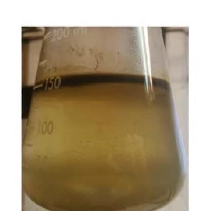 SSC treated — 4 hours reaction